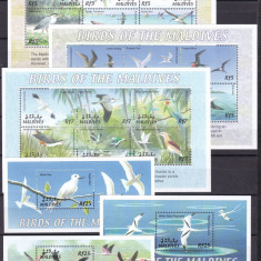 Maldive 2002 fauna pasari MI 3905-3922 + bl.511-513 MNH