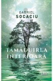 Tamaduirea interioara - Gabriel Socaciu - Editura Creator-Libris