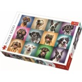 PUZZLE TREFL 1000 PORTRET CATELUSI SIMPATICI