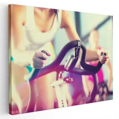 Tablou femeie facand exercitii pe bicicleta statica Tablou canvas pe panza CU RAMA 60x80 cm foto