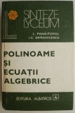 Polinoame si ecuatii algebrice - L. Panaitopol (Coperta uzata) [Anticariat]