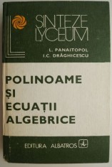 Polinoame si ecuatii algebrice &ndash; L. Panaitopol (coperta putin uzata)