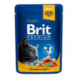 Pliculeț BRIT Premium Cat Salmon &amp;amp; Trout 100 g