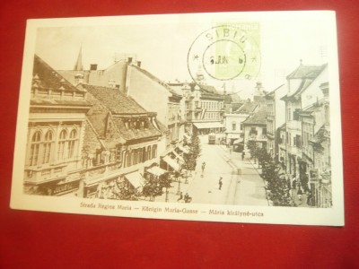 Ilustrata TCV Sibiu - Str. Regina Maria , circulat 1931 Ed. Drotleff foto