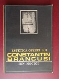Estetica operei lui Constantin Brancusi- Ion Mocioi