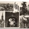 CPI B13620 CARTE POSTALA - SIBIU - MOZAIC