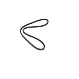 Curea transmisie 10a0550c Dayco pirelli Fiat, Nissan, Peugeot