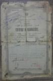 Certificat de nationalitate// Primaria Balti, 1926