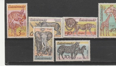 Fauna ,africana,Cehoslovacia. foto