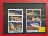 1993 - PESTERA MOVILE