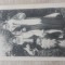 Colecția Al.Antoniu- Țărancă din Muscel.(Arges)