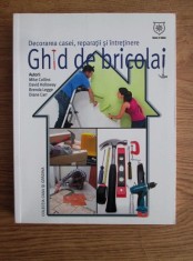 Mike Collins - Ghid de bricolaj. Decorarea casei, reparatii si intretinere