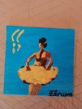 TABLOU PE PANZA CU SASIU NOU 20X20 CM BALERINA ACRILIC PRET DOAR 20 LEI PICTOR FLORIAN