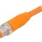 Cablu de Conectare M12 Drept 2m PVC RSTS 8-184/2 M