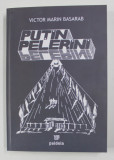 PUTIN PELERINI , roman de VICTOR MARIN BASARAB , 2007