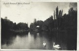 CP1520N Parcul Comunal Lacul, Caracal, carte poștală