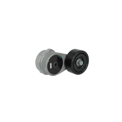 Intinzator curea KIA CARENS III UN DAYCO APV2998 foto