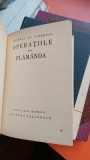 OPERATIILE DE LA FLAMANDA - GENERAL AL. AVERESCU