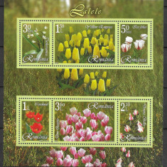 Romania 2006 - Lalele, bloc de 6 timbre, MNH, LP 1716b