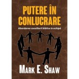 Putere in conlucrare - Mark E. Shaw