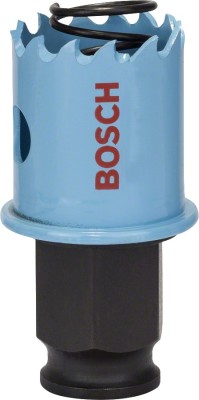 Bosch Carota tabla 25mm, 1&amp;#039;&amp;#039; ProAdvanced PowerfulTools foto