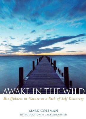 Awake in the Wild: Mindfulness in Nature as a Path of Self-Discovery foto