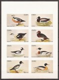 SCOTIA (STAFFA) FAUNA PASARI ( bloc nedantelat) MNH