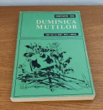 Constantin Țoiu - Duminica muților, Constantin Toiu