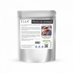 Pulbere ecologica cu rol de protectie impotriva puricilor de animale Flea plic 200 g