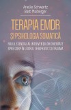 Terapia EMDR si psihologia somatica - Paperback brosat - Arielle Schwartz, Barb Maiberger - Herald