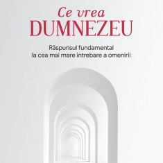 Ce vrea Dumnezeu – Neale Donald Walsch