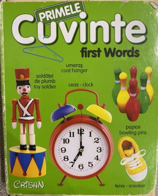 PRIMELE CUVINTE / FIRST WORDS, romana si engleza, Cartonata, Crisan, 2013 foto