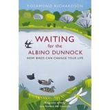 Waiting for the Albino Dunnock