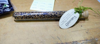 Sticluta da contimente Varianto expirate pt dising #A7592han foto