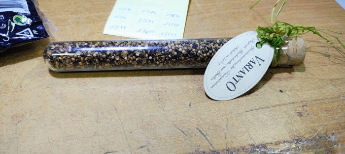Sticluta da contimente Varianto expirate pt dising #A7592han