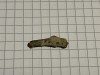 Semn premonetar - delfin Olbia (22), Europa