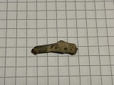 Semn premonetar - delfin Olbia (22)