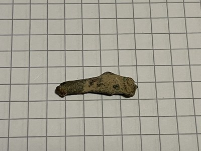 Semn premonetar - delfin Olbia (22) foto