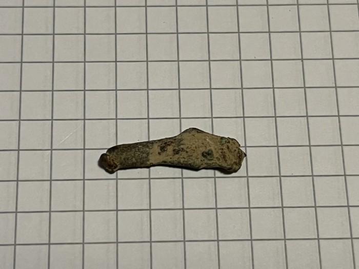 Semn premonetar - delfin Olbia (22)