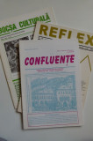 Cumpara ieftin Banat- Caras 3 reviste- Reflex 2006, Confluente 2005, Bocsa Culturala 2006