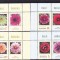 ROMANIA 2022 - DALII, VINIETA 1, MNH - LP 2390