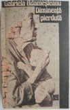 Dimineata pierduta - Gabriela Ademesteanu - Carte beletristica