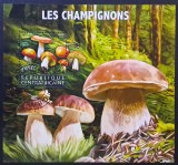 Ciuperci - Republica Centrafricană 2017 - Coliță Poștală Boletus edulis Les Champignons (Ștampilată / CTO) CP1_II