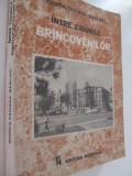 Intre zidurile Brincovenilor - Rodica Tatiana Barloiu