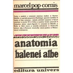 Anatomia Balenei Albe. Poetica Romanului American Epopeic-Simbolic