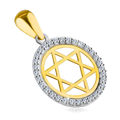 Pandantiv din aur combinat de 14K &amp;ndash; Steaua lui David &amp;icirc;ntr-un cerc cu un contur de zirconiu foto