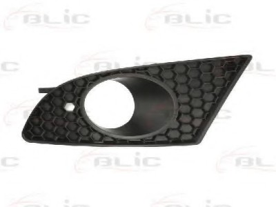 Grila ventilatie, bara protectie SEAT LEON (1P1) (2005 - 2012) BLIC 6502-07-6613993P foto