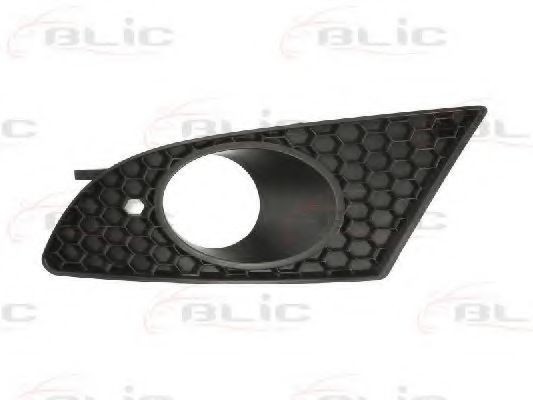 Grila ventilatie, bara protectie SEAT LEON (1P1) (2005 - 2012) BLIC 6502-07-6613993P