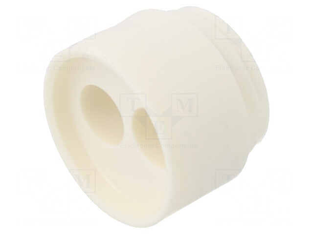 Insert Presetupă 6mm NPT1/2 Elastomer 2 Orificii