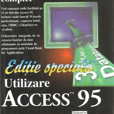 Roger Jennings - Utilizare ACCESS 95 - ediție specială